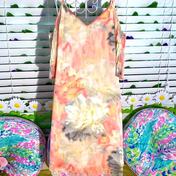 WHBM peach watercolor floral dress with cute pleated bell sleeves - Picture 6 of 9